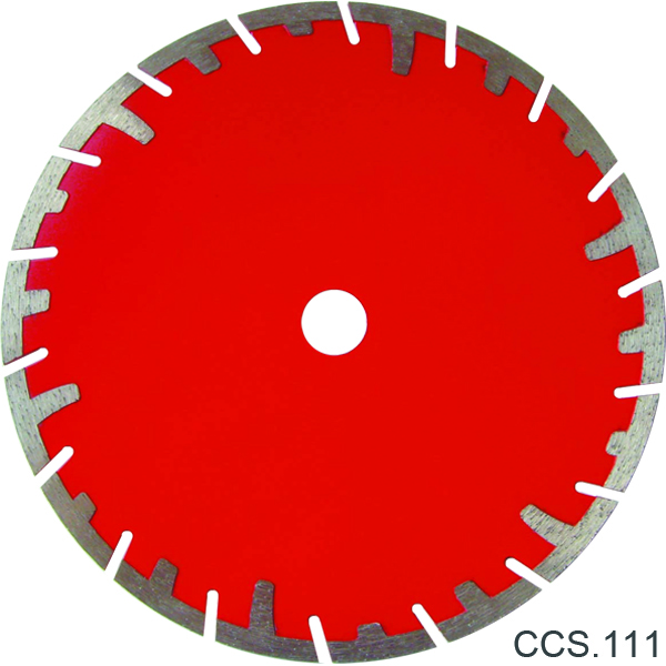 CCS 111.jpg