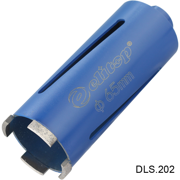 DLS 202.jpg