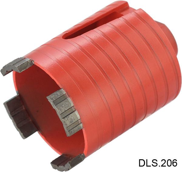 DLS 206-1.jpg