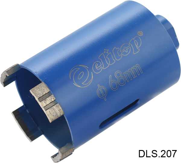 DLS 207-1.jpg
