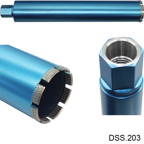 DSS 203-F.jpg