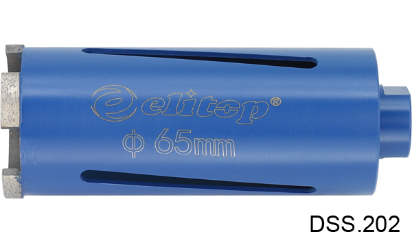 DSS 202.jpg