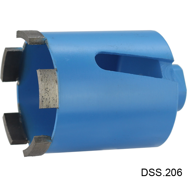DSS 206-2.jpg
