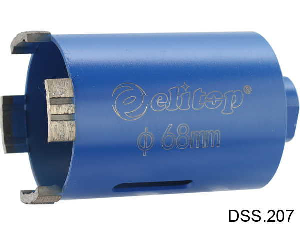 DSS 207.jpg