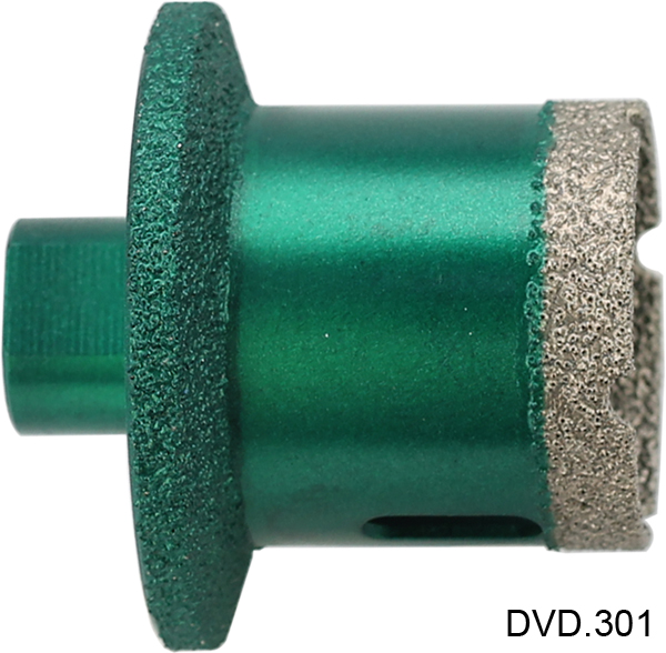 DVD 301.jpg