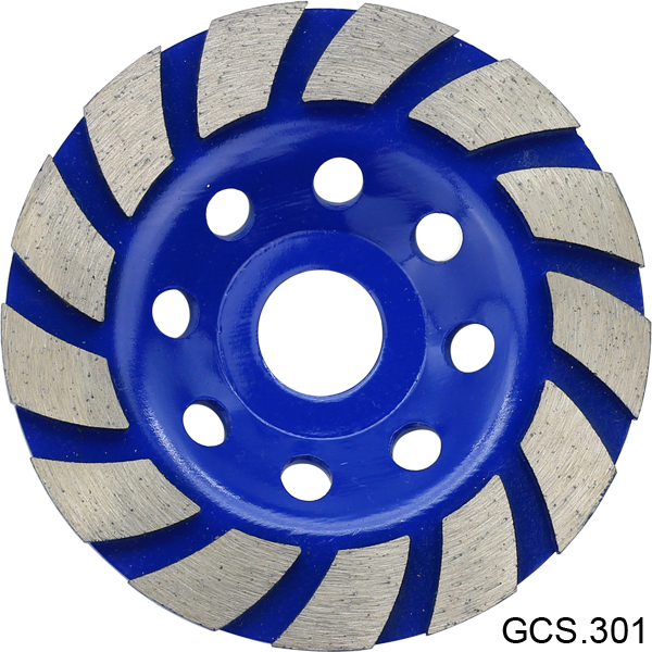 GCS 301.jpg