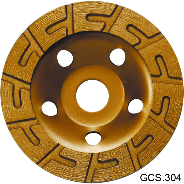 GCS 304.jpg