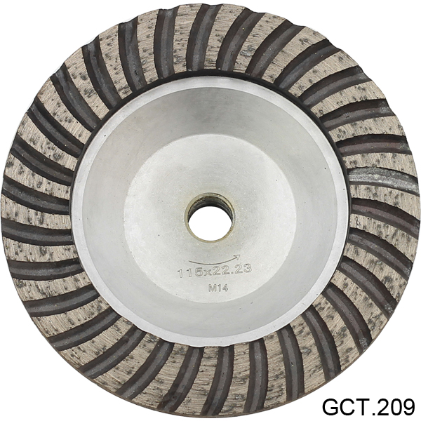GCT 209.jpg