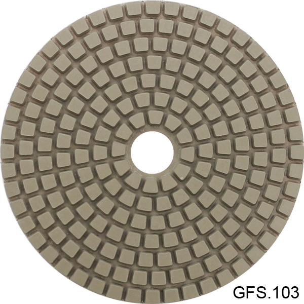 GFS 103.jpg