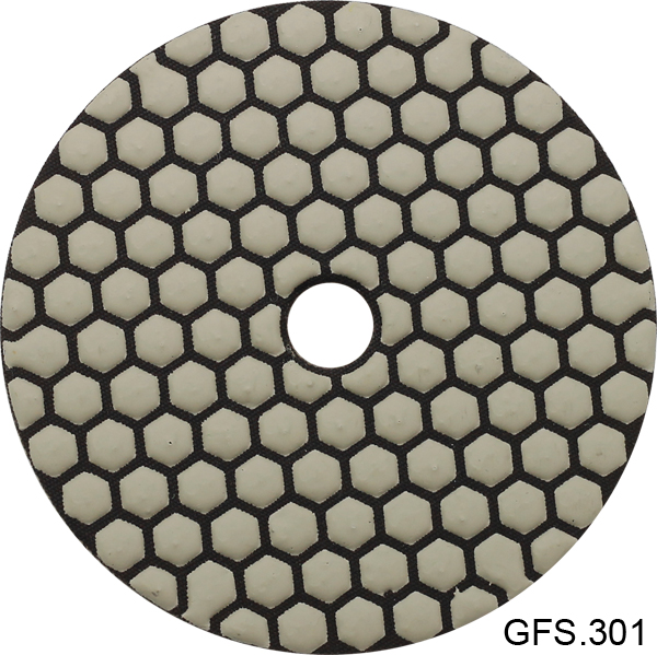 GFS 301.jpg