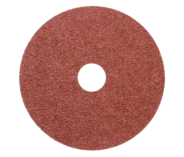 FIBLE DISC 2A.jpg