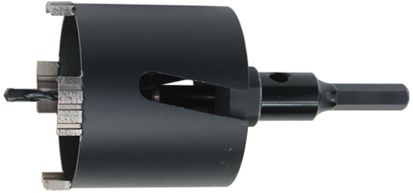 DLS206B.jpg